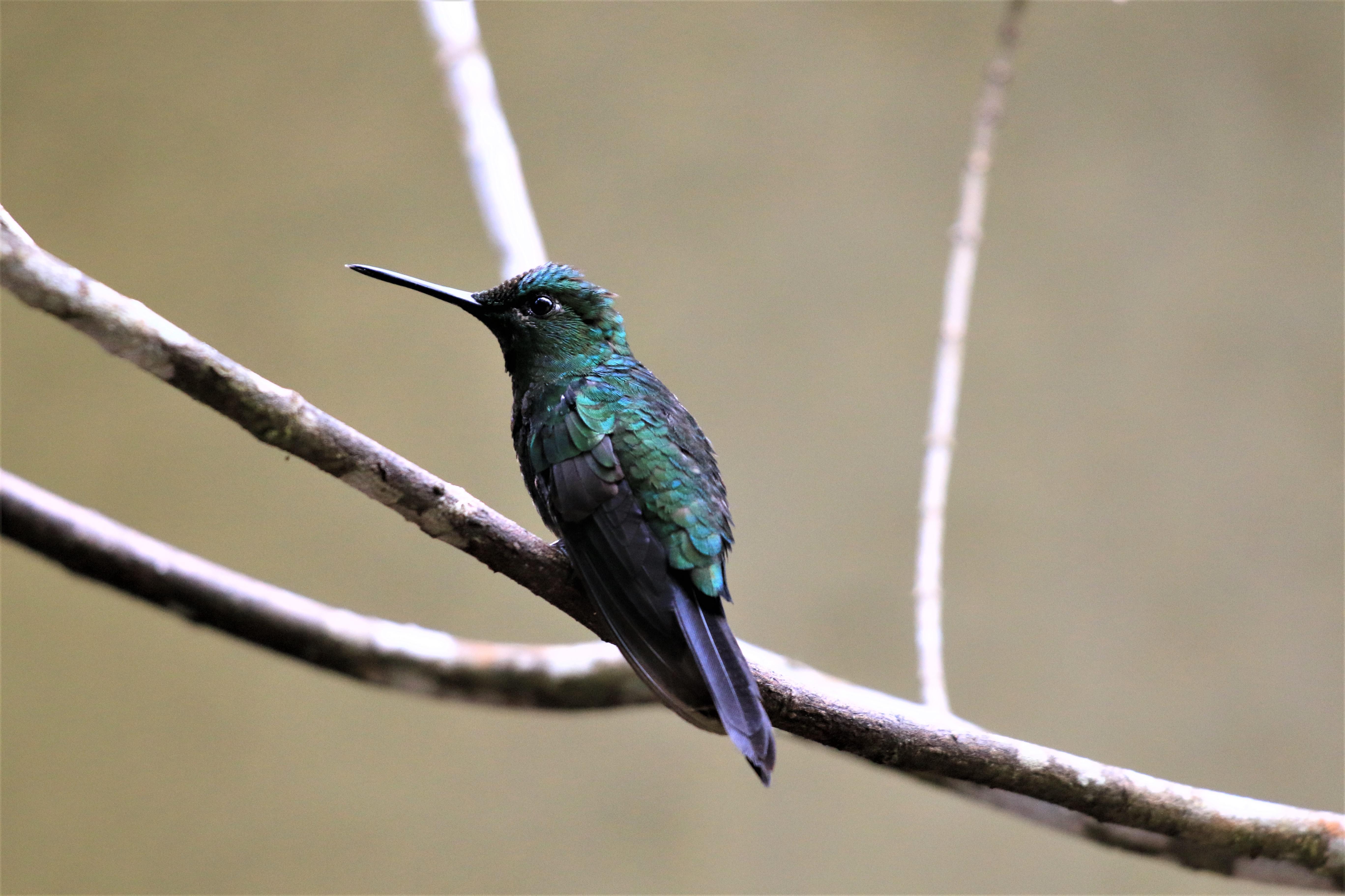 Costa Rica